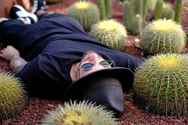 Muž v klobúku a slnečných okuliaroch leží medzi kaktusmi.jpg